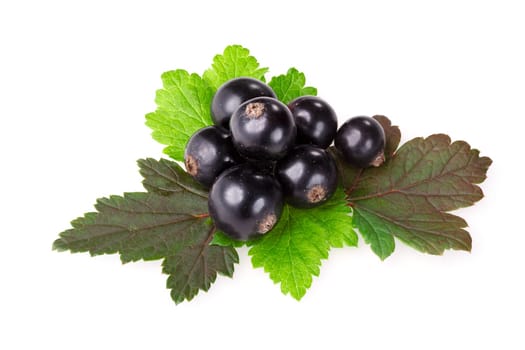 Black currants with leaves isolated on white. Studio shot, large depth of field,high detailed, retouched