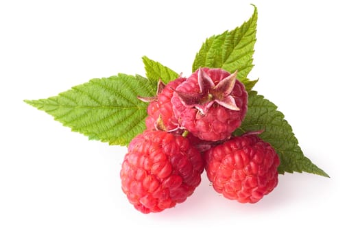 Raspberries with leaves. Studio shot,high detailed,retouched,large depth of field