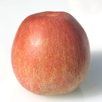 Boskoop, Boskop, Winter-Apfel, Gruener