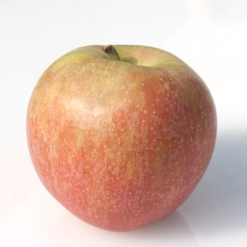 Boskoop, Boskop, Winter-Apfel, Gruener