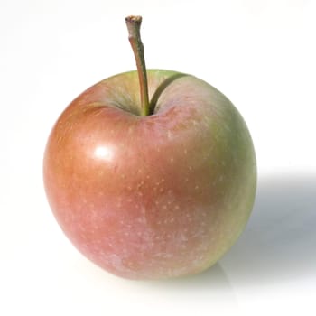 Pink Lady, Apfel, Malus, domestica