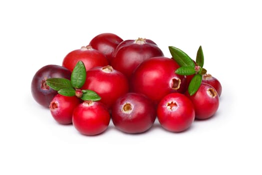 Wild cranberry  with leaves isolated on white with smooth drop shadow. Studio shot, infinite depth of field, retouched