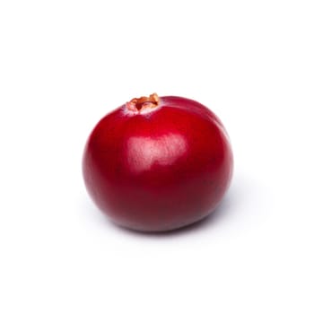 Wild cranberry isolated on white with smooth drop shadow. Studio shot, infinite depth of field, retouched, high detailed