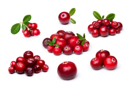 Set of wild northern berries