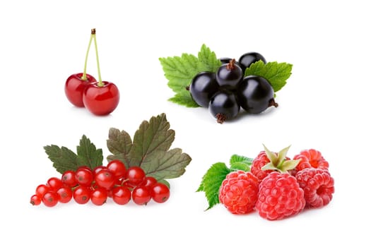 Set of isolated cultivated berries