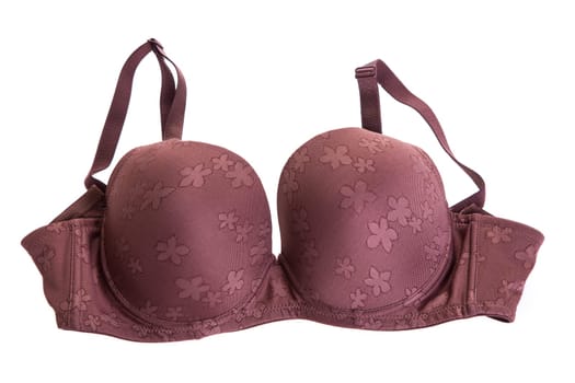 Stylish bra  isolated on background