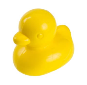 yellow rubber duck isolated on white