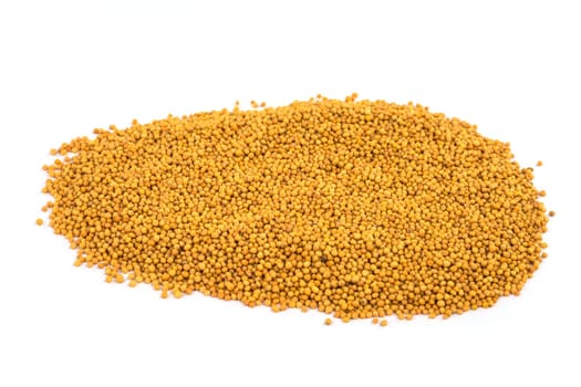 Mustard grains yellow,spice as an ingredient for cooking