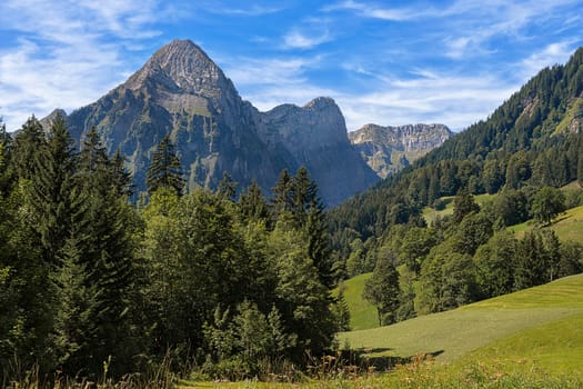 View to the Kernzerbergen and the Churfirsten
