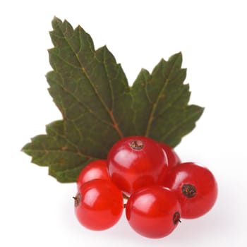 Bunch of red currant berries with leaves. Studio shot, selective focus, retouched,high detailed