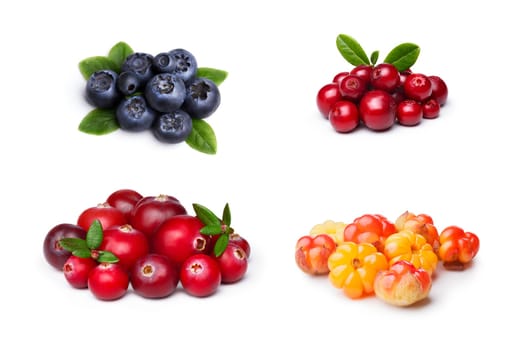 Set of wild northern berries