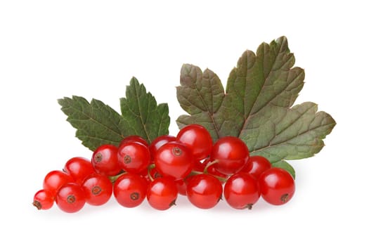 Bunch of red currant berries with leaves. Studio shot, large depth of field, retouched,high detailed