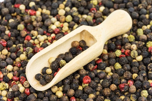 Peppercorns,close-up of colorful pepper