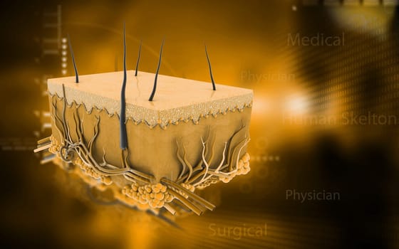 Digital illustration of Skin in colour background