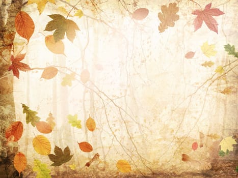 Colorful leaves