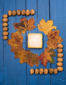 French cheese with nuts on a wooden table painted blue