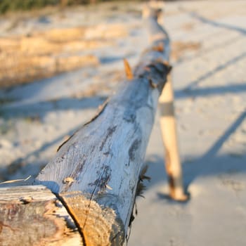 Artistic Sunrise Fence on the beach