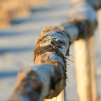Artistic Sunrise Fence on the beach