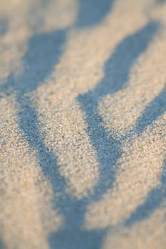 Artistic sand drawings of nature