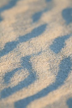 Artistic sand drawings of nature
