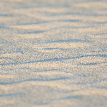 Artistic sand drawings of nature