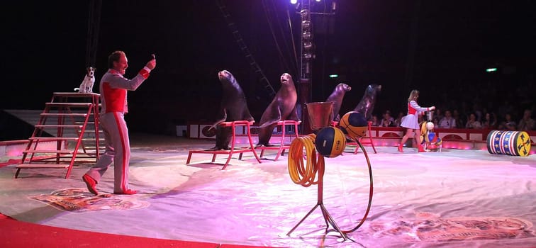 Show and entertainment at Circus Krone