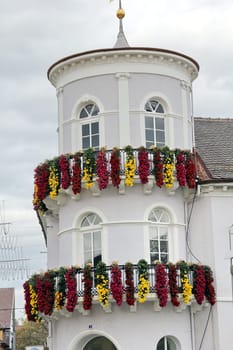 The chrysanthemum in Lahr has been around since 1997. Every autumn,the city centre of Lahr shines in colourful colours. Visitors from Germany and abroad,old and young will get their money's worth when visiting the Chrysanthema. And it is worth taking a souvenir from the chrysanthemum with you: liqueur,beer,soap,oil from chrysanthemums can be purchased there.
