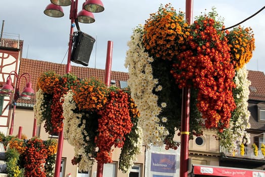 The chrysanthemum in Lahr has been around since 1997. Every autumn,the city centre of Lahr shines in colourful colours. Visitors from Germany and abroad,old and young will get their money's worth when visiting the Chrysanthema. And it is worth taking a souvenir from the chrysanthemum with you: liqueur,beer,soap,oil from chrysanthemums can be purchased there.