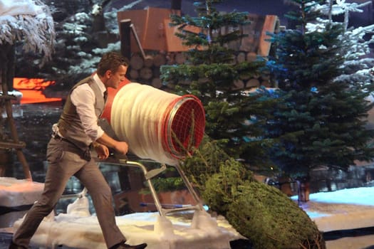 Markus Lanz packs on 'Bets that...? self-sawing Christmas tree