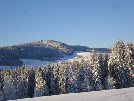 Dreamlike winter panorama near Hinterzarten in the Black Forest