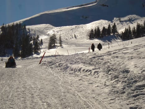 Ski hiking,tobogganing,snow school trips or out with touring skis into the open air - at the turn of the month February/March winter shows its best side with a lot of snow and sun in the Black Forest.
