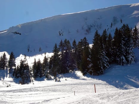 Ski hiking,tobogganing,snow school trips or out with touring skis into the open air - at the turn of the month February/March winter shows its best side with a lot of snow and sun in the Black Forest.