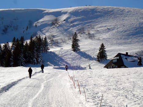 Ski hiking,tobogganing,snow school trips or out with touring skis into the open air - at the turn of the month February/March winter shows its best side with a lot of snow and sun in the Black Forest.