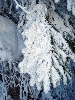 Ski hiking,tobogganing,snow school trips or out with touring skis into the open air - at the turn of the month February/March winter shows its best side with a lot of snow and sun in the Black Forest.