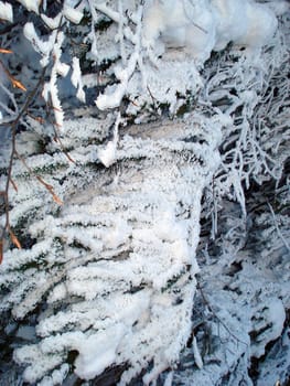 Ski hiking,tobogganing,snow school trips or out with touring skis into the open air - at the turn of the month February/March winter shows its best side with a lot of snow and sun in the Black Forest.