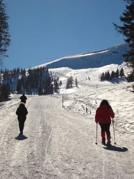 Ski hiking,tobogganing,snow school trips or out with touring skis into the open air - at the turn of the month February/March winter shows its best side with a lot of snow and sun in the Black Forest.