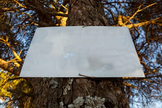 Pinned old metal weather-beaten sign in the woods