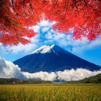 image of fuji mountain, Japam