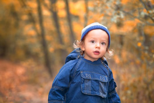 The portrait of a 1 and a half year old baby boy enjoying the outdoors in autumn.