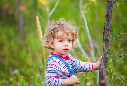 The portrait of a 1 and a half year old baby boy enjoying the outdoors in autumn.