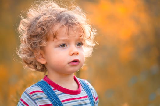 The portrait of a 1 and a half year old baby boy enjoying the outdoors in autumn.