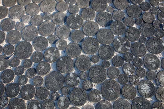 A pathway made out of circular wood slabs