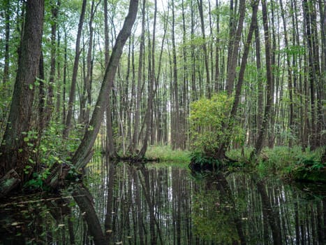 Canal in Mecklenburg from the paddle boat