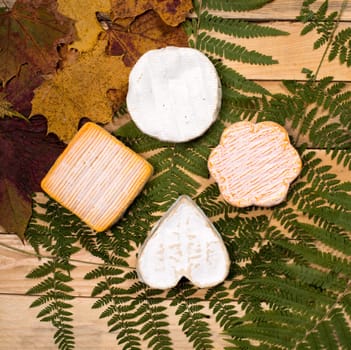 différent French cheeses placed on à wooden table with autumn leaves