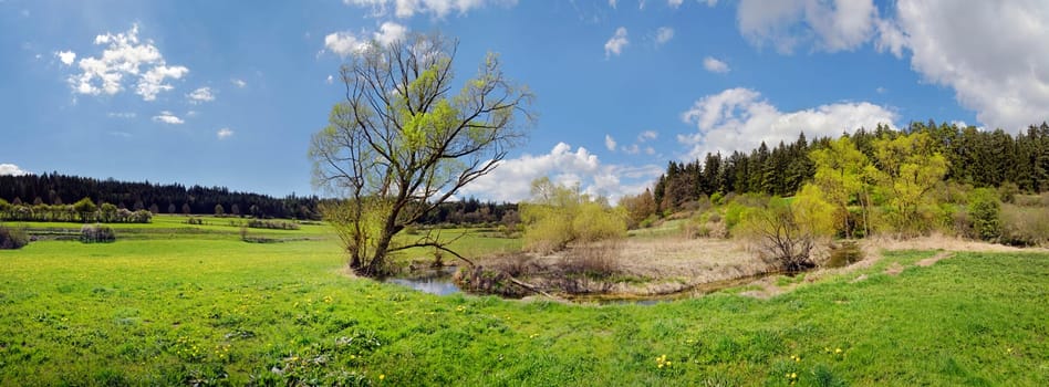 Morsbach near Emsing, Ritter and Römerweg, Altmühltal Nature Park, Bavaria, Germany