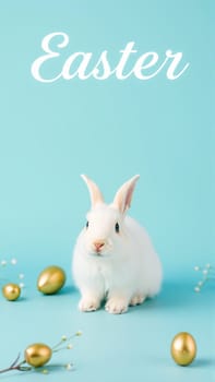 White fluffy rabbit sits on blue isolated background among traditional eggs symbolizing the holiday. High quality photo
