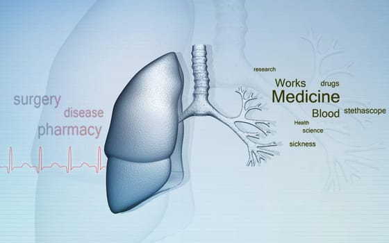 Digital illustration of human lungs in colour background