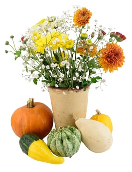 Autumn blooms and different pumpkins, isolated on white.
