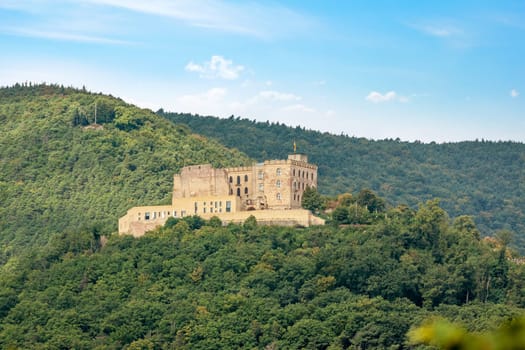 Castle Hambacher Schloss surrounded by forest