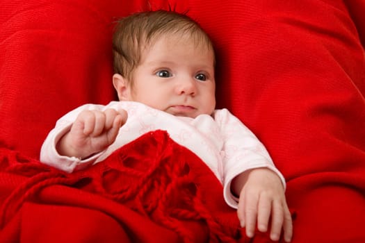 young baby portrait, studio picture